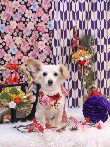 20250130めるちゃん